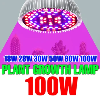 Pilna Spektra Augt Gaismas E27 Augu Lampas Kausa E14 LED Fito Lampas Hidroponika Izaugsmes Spuldzes Siltumnīcefekta Fito Ziedu Stādus Lampas